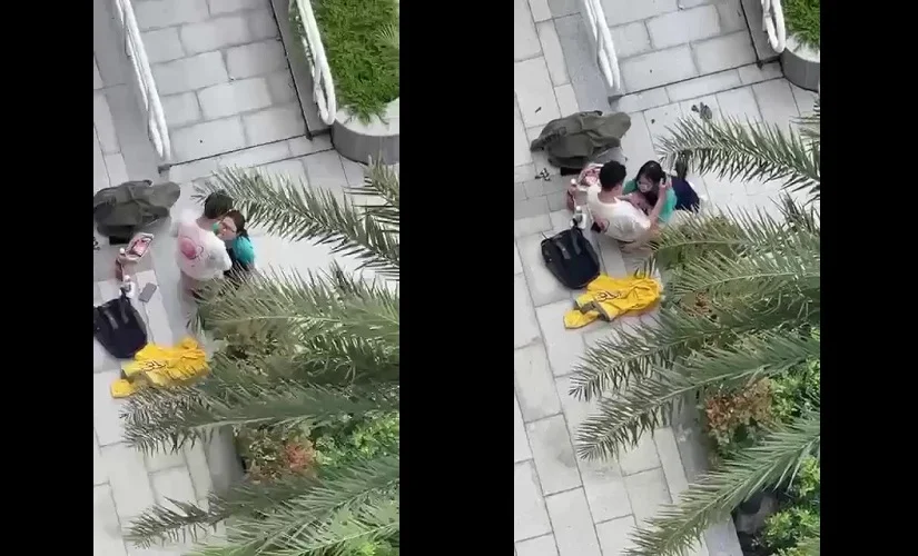 Clip: Bé nữ sinh kính cận bú cu để người yêu xuất vào miệng ở sảnh chung cư - Clip Hot Việt